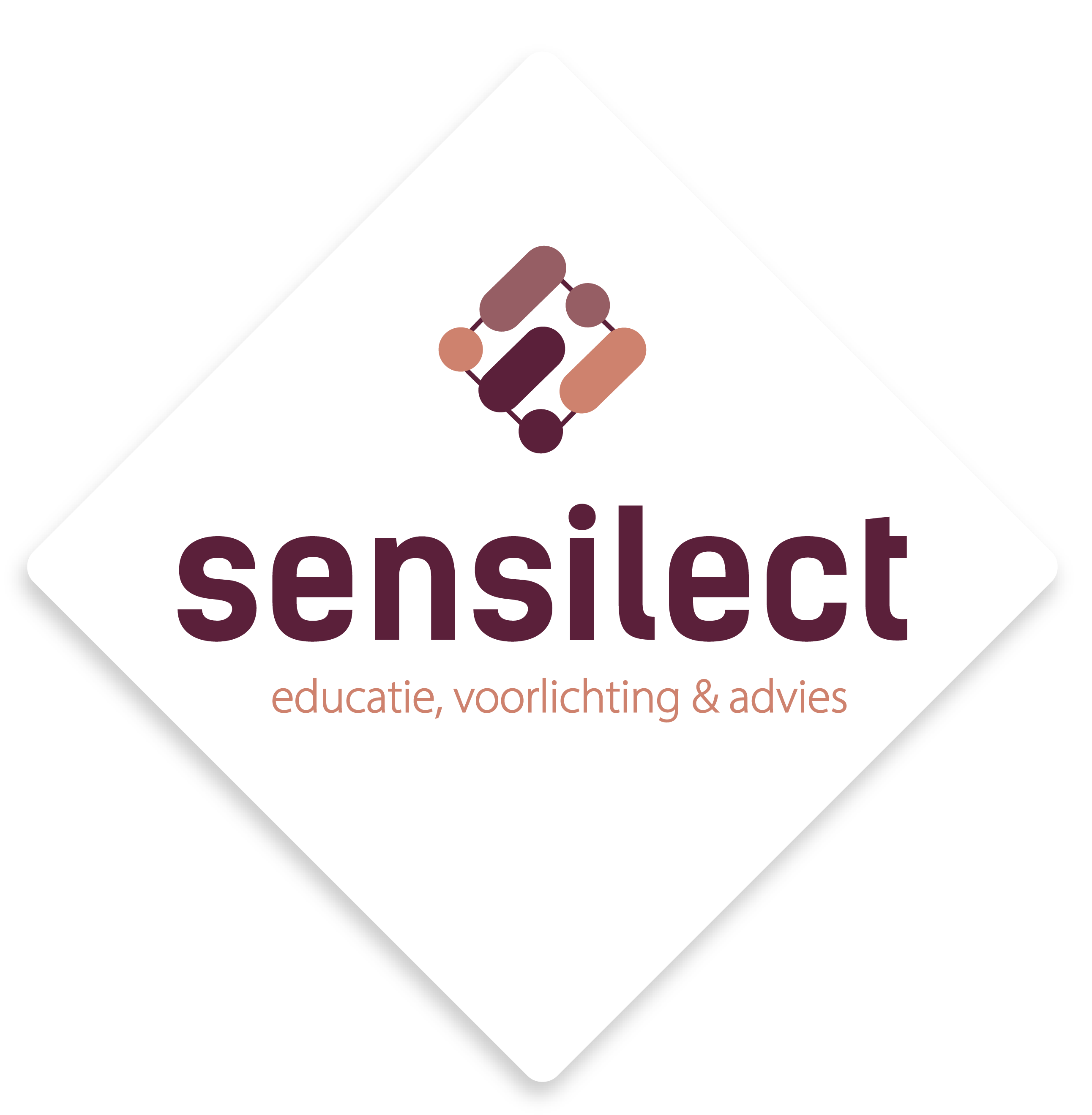 Sensilect geeft educatie, voorlichting en advies over hoogbegaafde en meerbegaafde kinderen